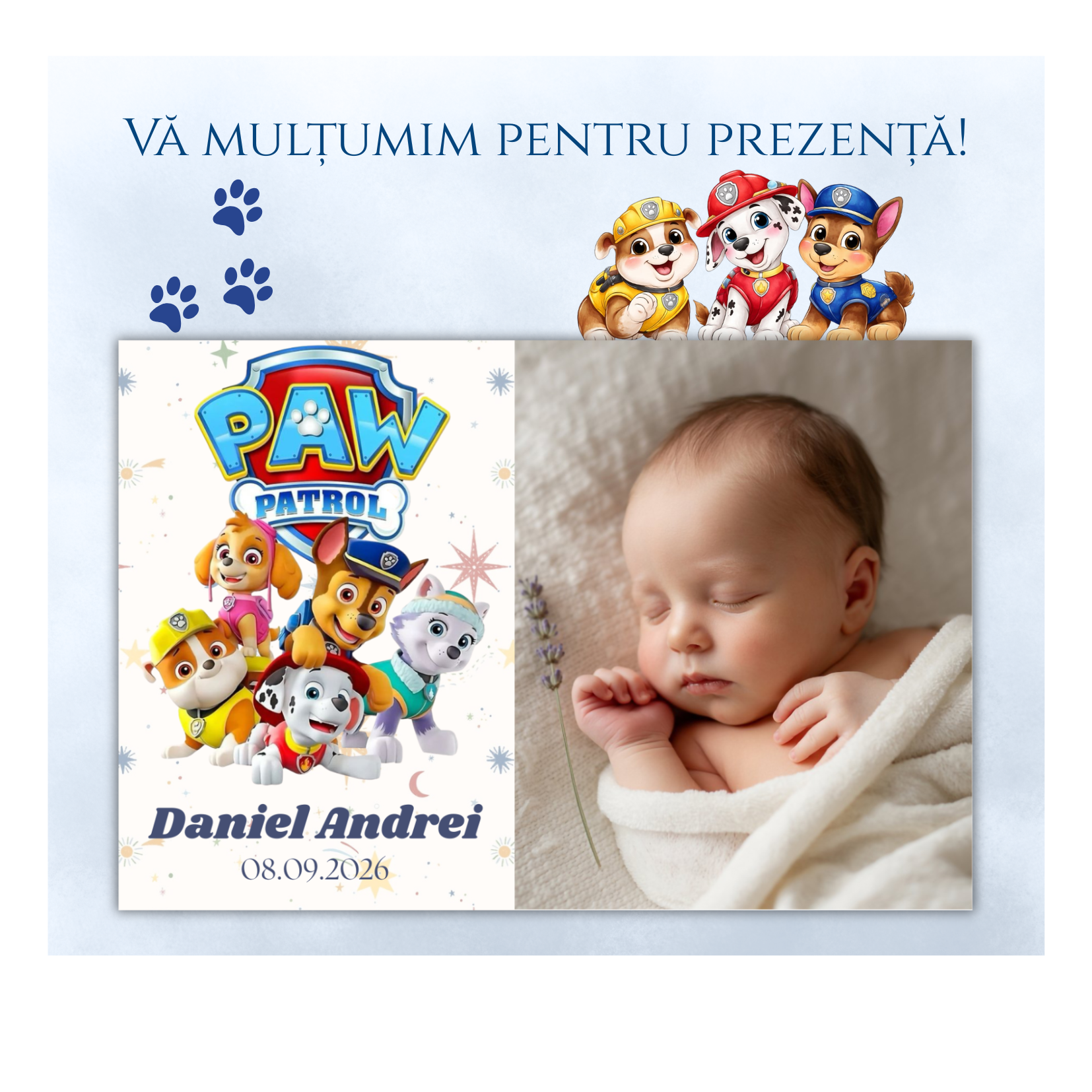 mărturie botez magnet 12x8 cm "patrula cățelușilor" – format panoramic, cu carton suport și folie transparentă