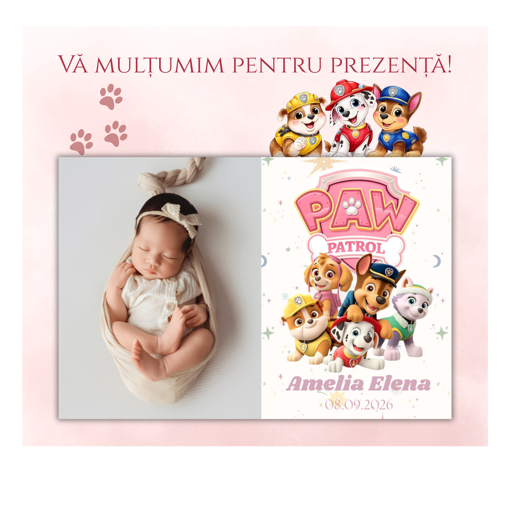 mărturie botez magnet 12x8 cm "patrula cățelușilor roz" – format panoramic, cu carton suport și folie transparentă